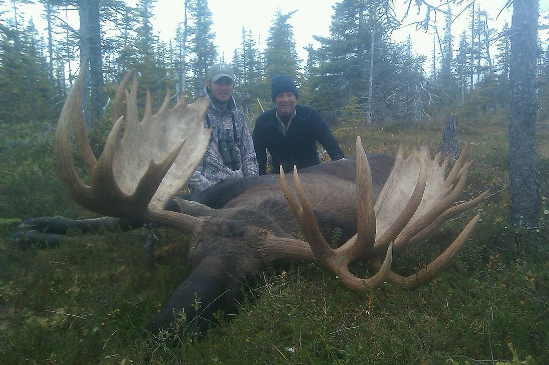 moose hunting trip cost